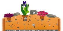 Alpski tobogan - kako napraviti kameni vrt vlastitim rukama