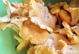 Grietinėje keptų voveraičių receptas Voveraičių grybų kepimas grietinėje
