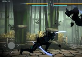 Shadow Fight 3 Game