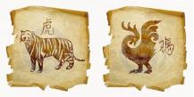 Pijetao i Tigar: kompatibilnost
