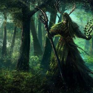 Kvetinový horoskop - Keltský druidský horoskop Harmanček podľa dátumu narodenia charakteristiky