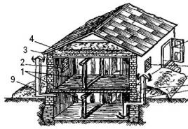 Pivnica v súkromnom dome: stavebná technológia