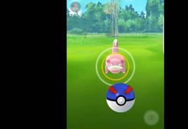 Špeciálne predmety pre vývoj v Pokémon Go Slowpoke v anime Pokémon