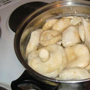 Pieno grybai žiemai: geriausi grybų kepimo receptai Baltojo pieno grybų patiekalai