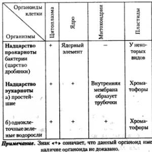 Ключевые органеллы цитоплазмы