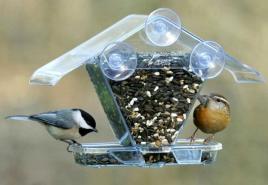 DIY hranilice za ptice: zanimljive ideje i savjeti za njihovu implementaciju
