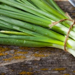 Zwiebeln im Freiland im Frühjahr pflanzen und wann Zwiebelsätze gepflanzt werden sollen. Zwiebelsätze im Frühling auf Grünflächen pflanzen