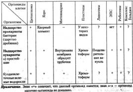 Ключевые органеллы цитоплазмы