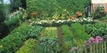 Interpretacja snów Ogród warzywny, po co marzyć o ogrodzie warzywnym we śnie