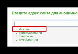 Anonimizator socialnega omrežja Vkontakte kameleon