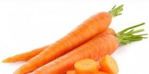 Vitamininės salotos iš obuolių ir morkų: geriausių receptų pasirinkimas Morkų salotų dieta 5